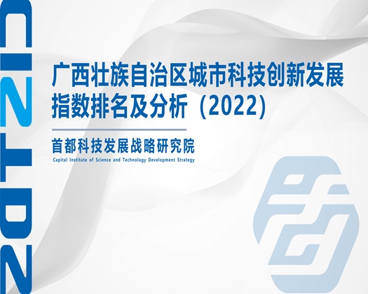 大黑屌后插猛操周那BB【成果发布】广西壮族自治区城市科技创新发展指数排名及分析（2022）